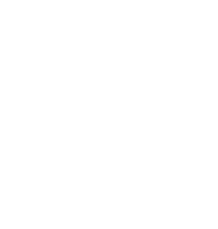 footer-logo-fest
